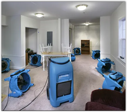 Water Damage Assessment in Ada, OH