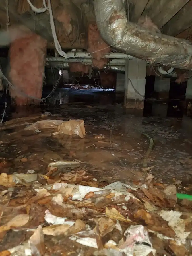 Crawl space flood assessment for Leak Detection & Repair in Ada